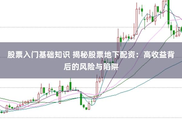 股票入门基础知识 揭秘股票地下配资：高收益背后的风险与陷阱