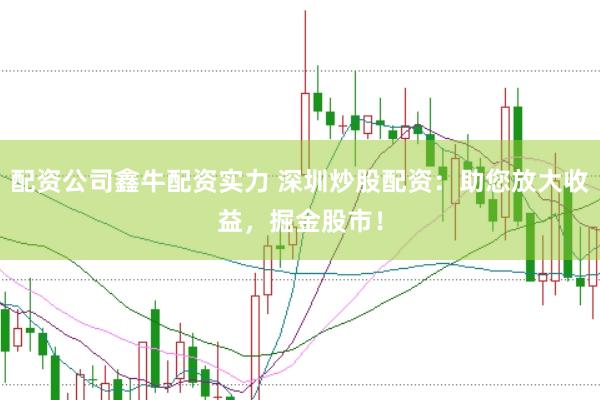 配资公司鑫牛配资实力 深圳炒股配资：助您放大收益，掘金股市！