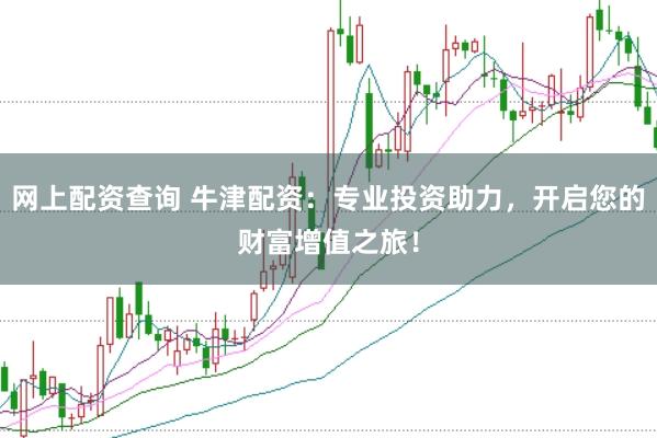 网上配资查询 牛津配资：专业投资助力，开启您的财富增值之旅！
