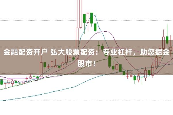 金融配资开户 弘大股票配资：专业杠杆，助您掘金股市！