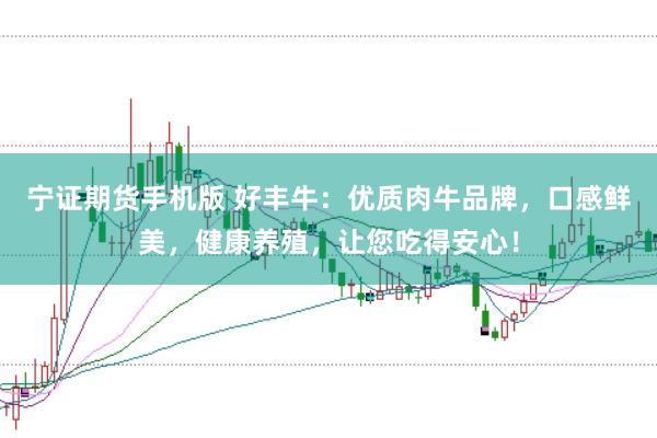宁证期货手机版 好丰牛：优质肉牛品牌，口感鲜美，健康养殖，让您吃得安心！