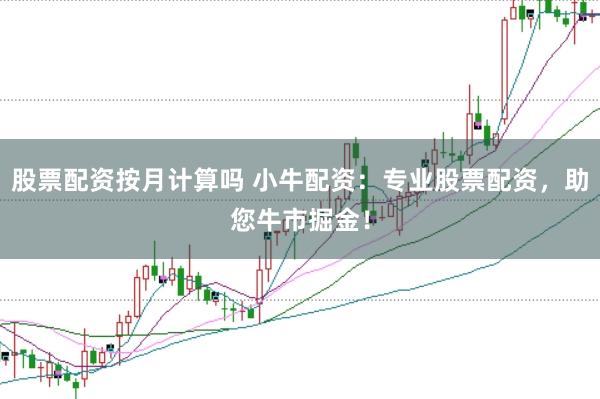股票配资按月计算吗 小牛配资：专业股票配资，助您牛市掘金！