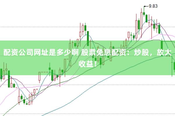 配资公司网址是多少啊 股票免息配资：炒股，放大收益！