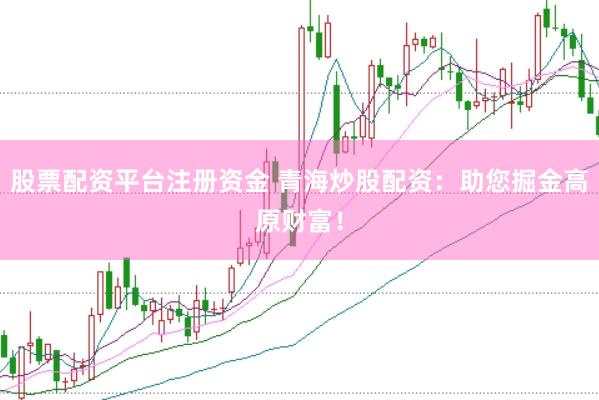 股票配资平台注册资金 青海炒股配资：助您掘金高原财富！