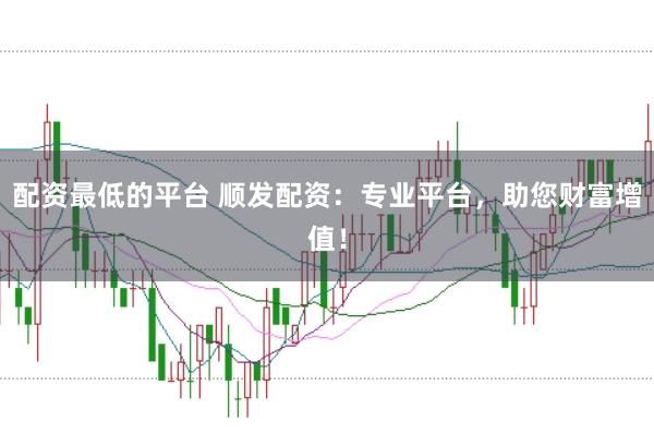 配资最低的平台 顺发配资：专业平台，助您财富增值！