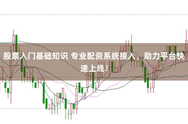 股票入门基础知识 专业配资系统接入，助力平台快速上线！