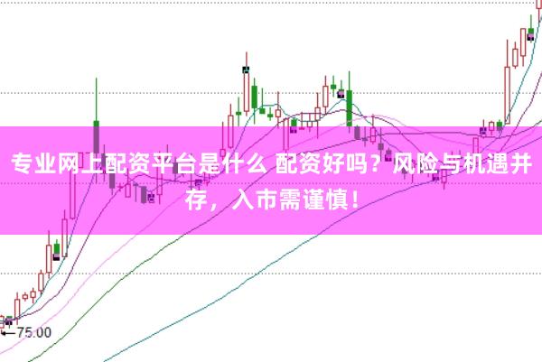 专业网上配资平台是什么 配资好吗?风险与机遇并存,入市需谨慎!