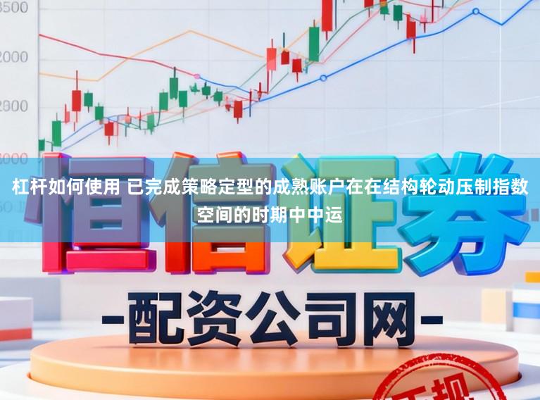 杠杆如何使用 已完成策略定型的成熟账户在在结构轮动压制指数空间的时期中中运